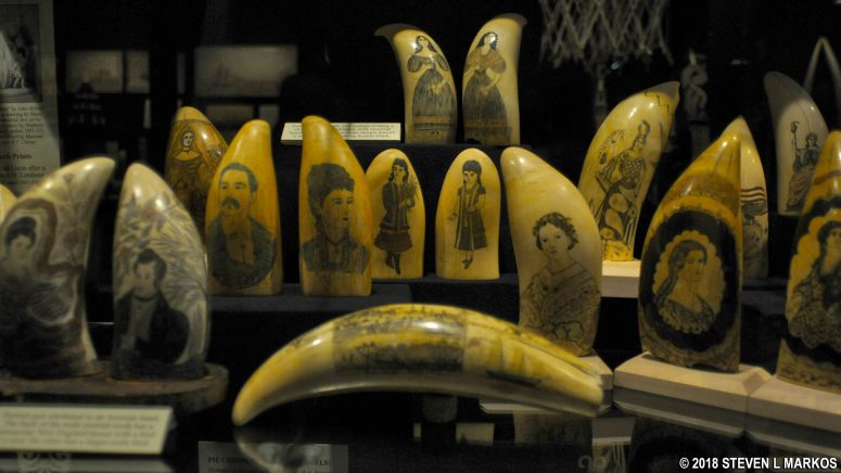 Scrimshaw samples at NB Whaling Museum