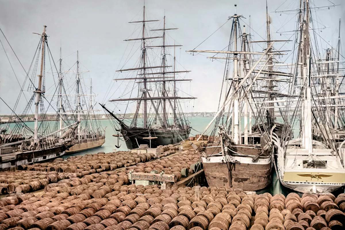 Whaling ships and casks of whale oil at historic New Bedford Wharf